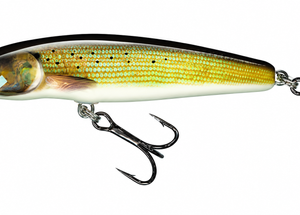 SALMO M7S GRAYLING